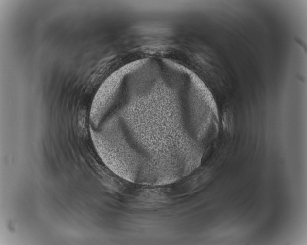 X0000102341396200808221620