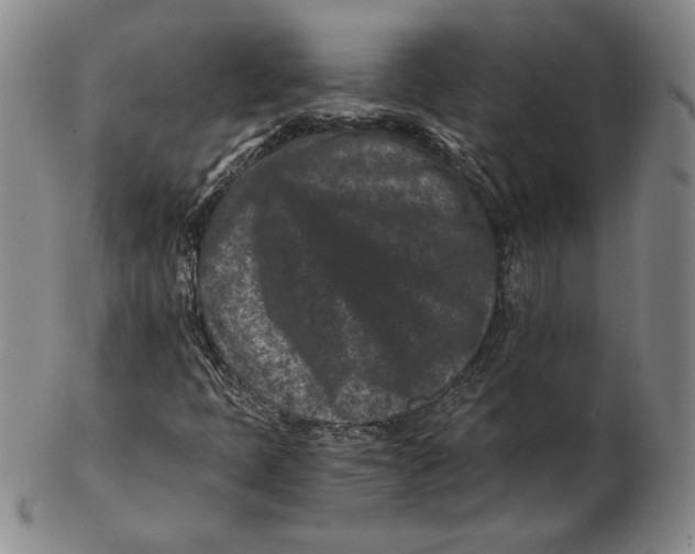 X0000102341397200808221620