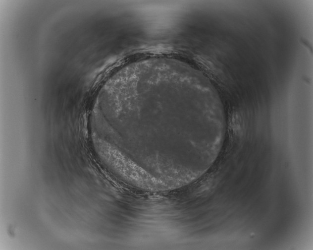 X0000102341398200808221620