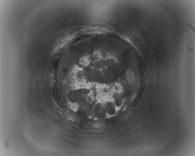 X0000102341399200808221620