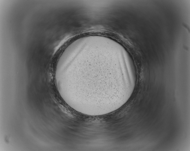 X0000102341400200808221620