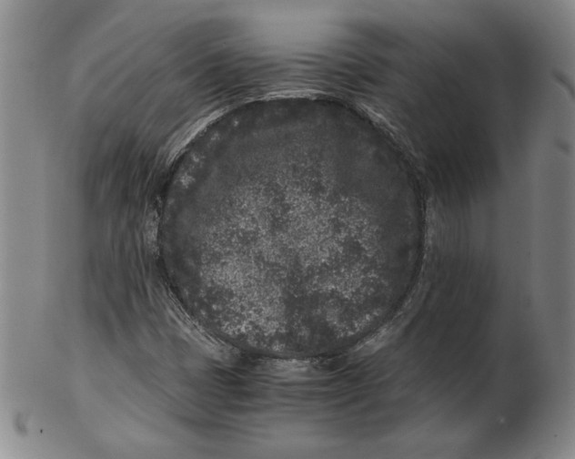 X0000102341401200808221620