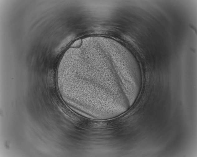 X0000102341403200808221620