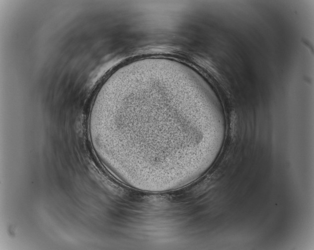 X0000102341404200808221620