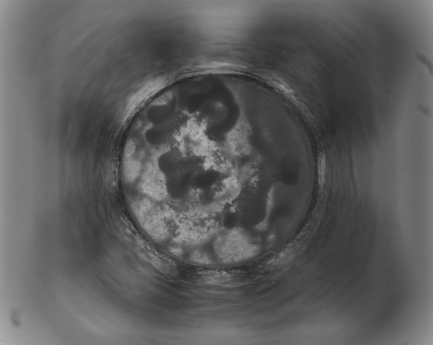 X0000102341405200808221620