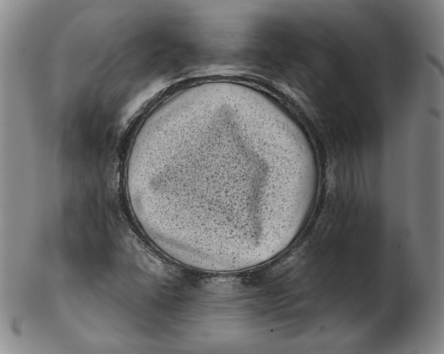 X0000102341406200808221620