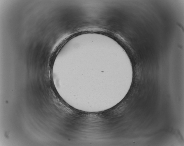 X0000102341408200808221621