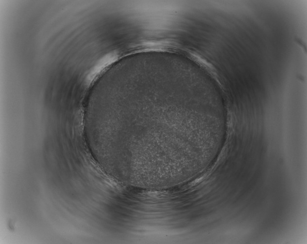 X0000102341411200808221621