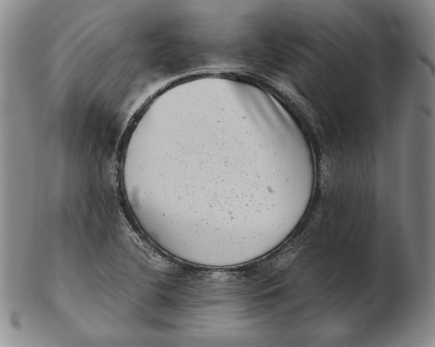 X0000102341412200808221621