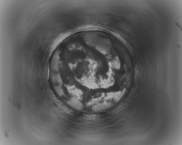 X0000102341413200808221621