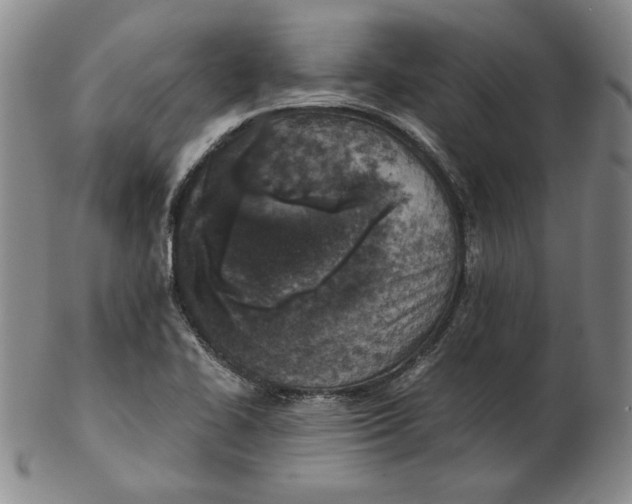 X0000102341414200808221621