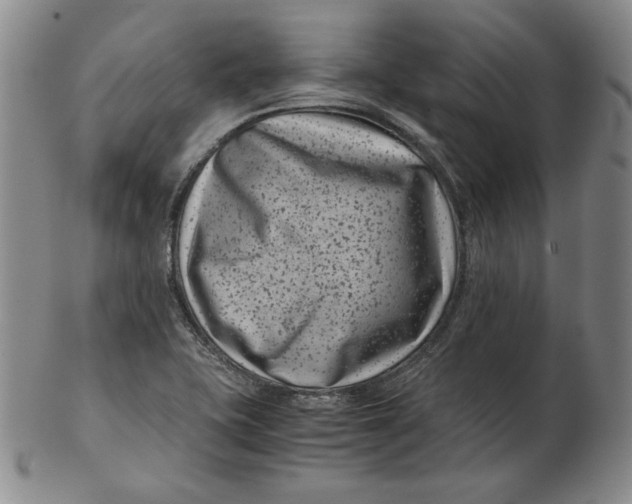 X0000102341415200808221621