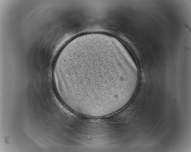 X0000102341416200808221621