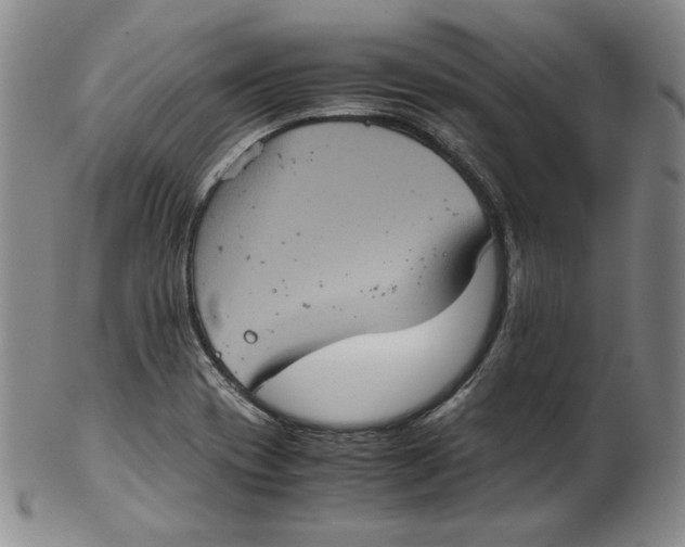 X0000102341417200808221621