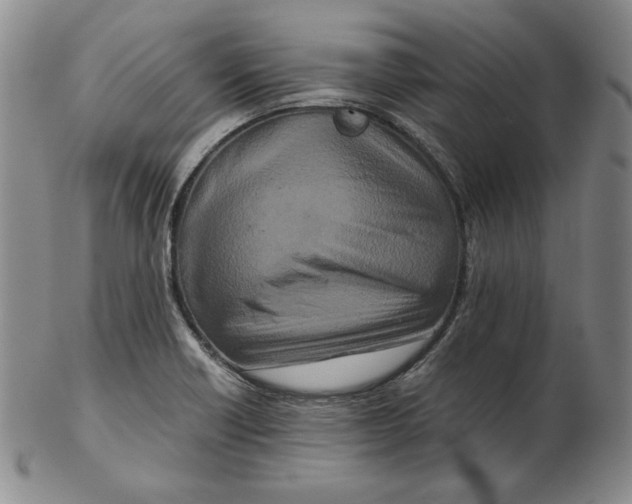 X0000102341418200808221621