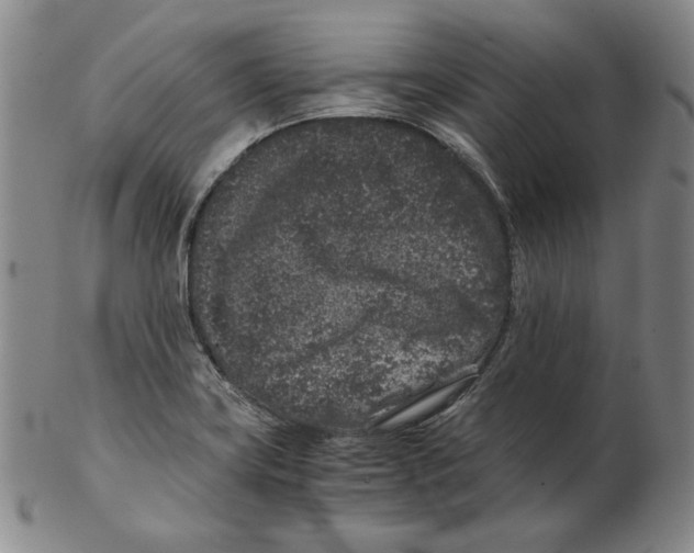 X0000102341419200808221621