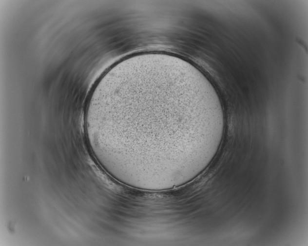 X0000102341420200808221621