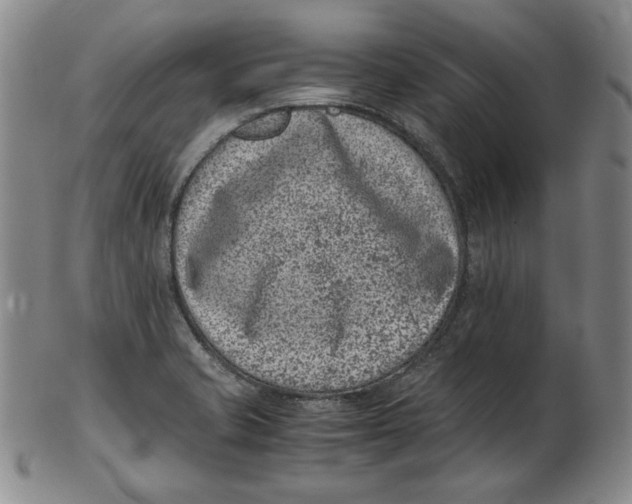 X0000102341421200808221621