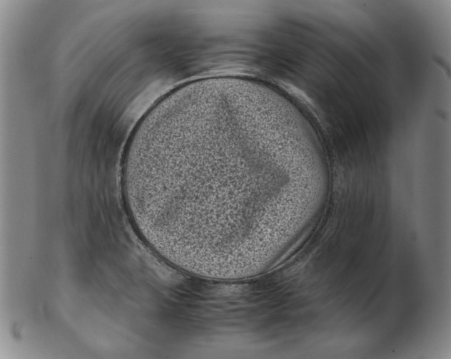 X0000102341423200808221621