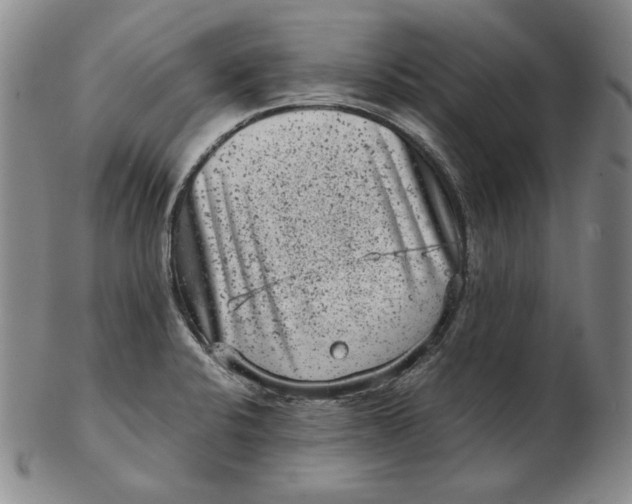 X0000102341424200808221621