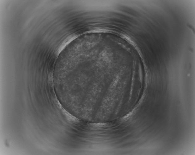 X0000102341425200808221621