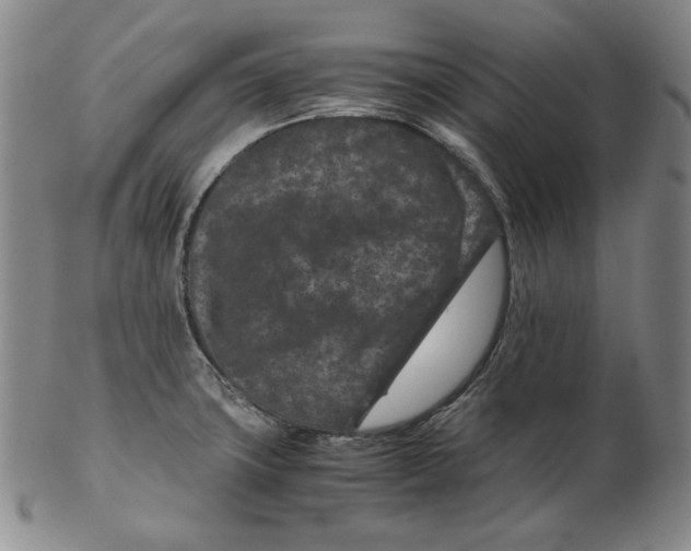 X0000102341427200808221621