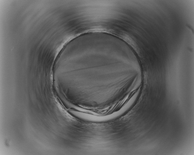 X0000102341428200808221621