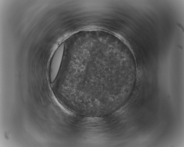 X0000102341429200808221621