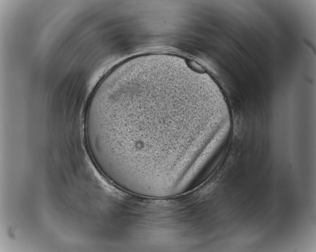 X0000102341430200808221621