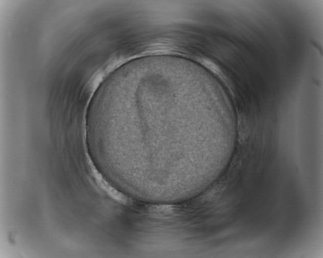 X0000102341431200808221621