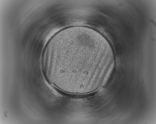 X0000102341432200808221621