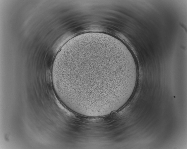 X0000102341433200808221621