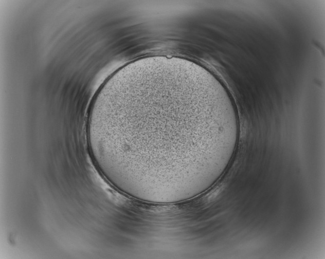 X0000102341434200808221621