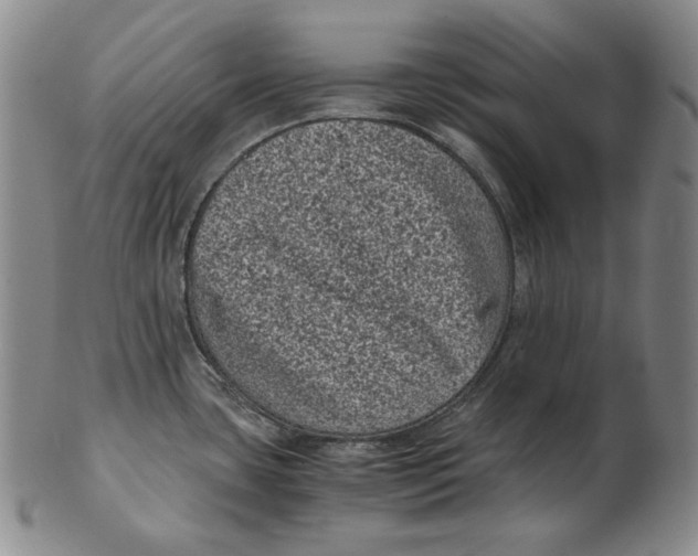 X0000102341435200808221621