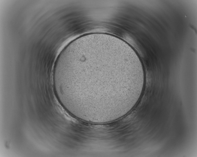 X0000102341436200808221621