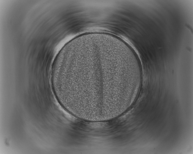 X0000102341437200808221621