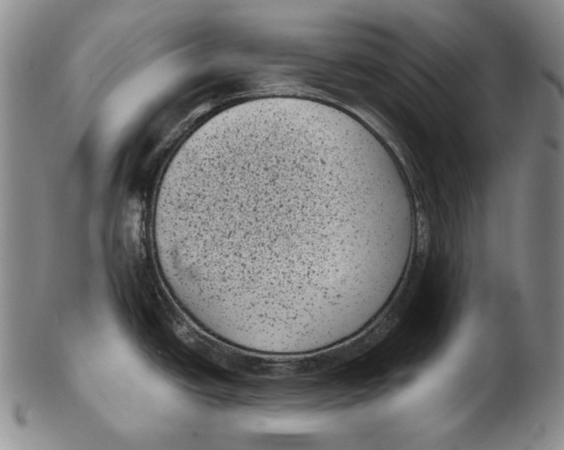 X0000102341438200808221621