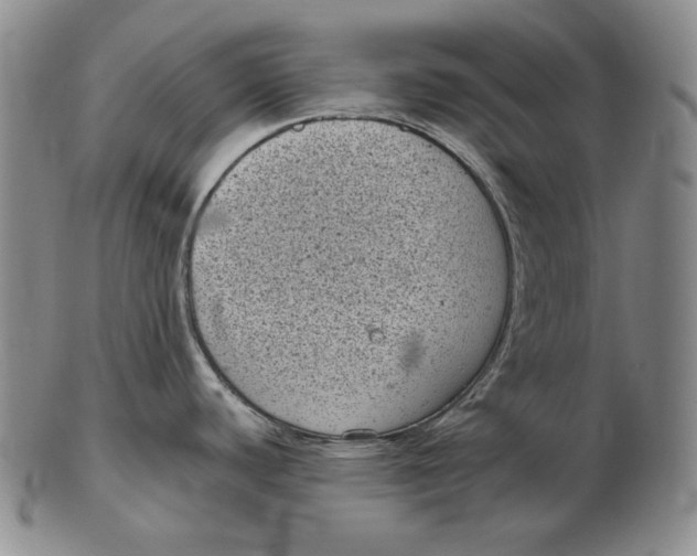 X0000102341440200808221621