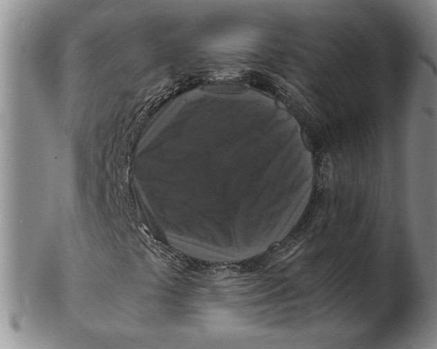 X0000102341441200808221620