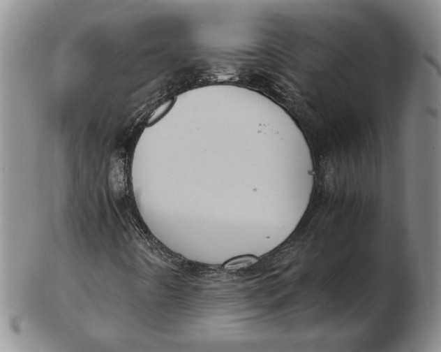 X0000102341442200808221620