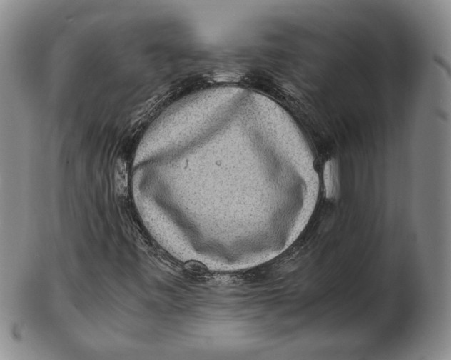 X0000102341443200808221620