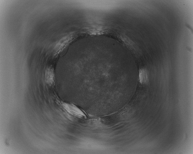 X0000102341444200808221620