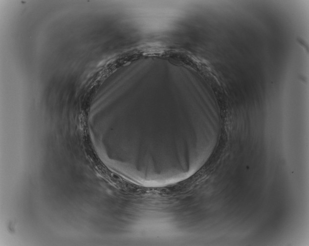 X0000102341445200808221620