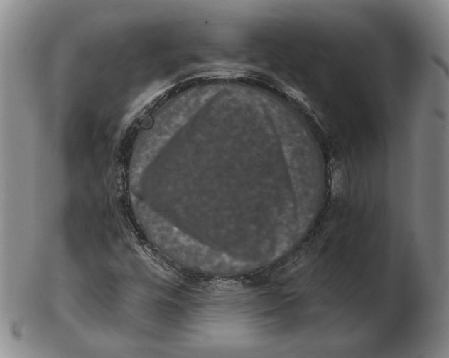 X0000102341448200808221620