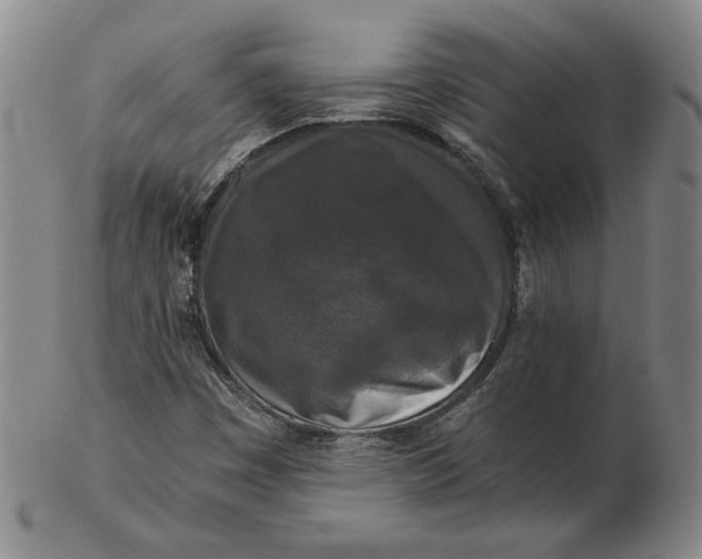 X0000102341449200808221620