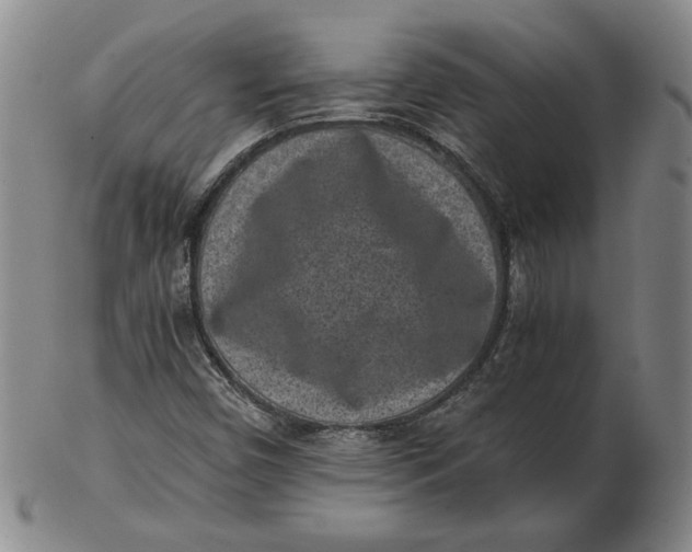 X0000102341450200808221620