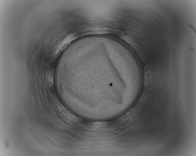 X0000102341451200808221620