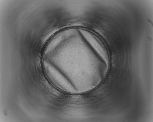 X0000102341452200808221620