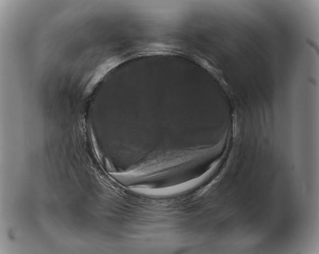 X0000102341453200808221620