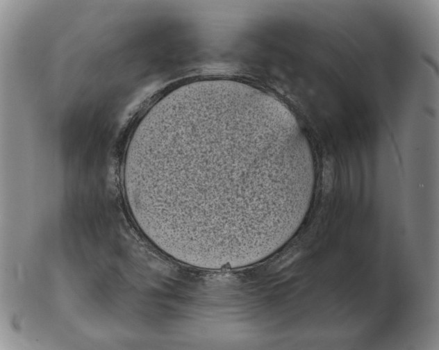 X0000102341454200808221620